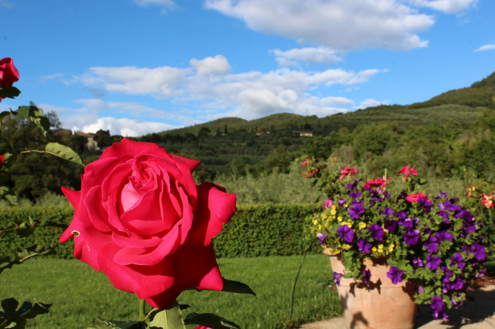 Casa Portagioia Bed & Breakfast Castiglion Fiorentino Exterior foto